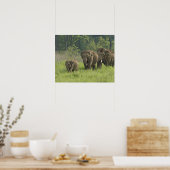 Poster Famille d'éléphants indiens (Cuisine)
