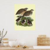 Poster Famille des Cailles Coturnix (Cuisine)