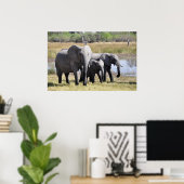 Poster Famille des éléphants (Bureau à domicile)