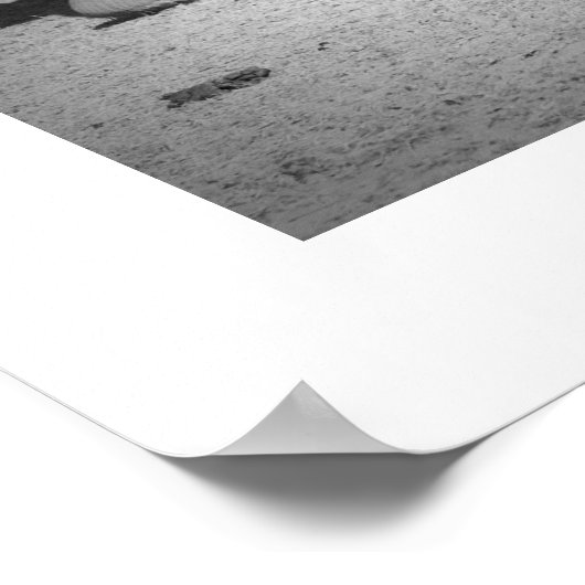 Poster Famille des éléphants (Coin)