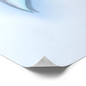 Poster Famille Dolphin (Coin)