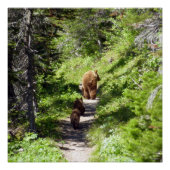 Poster Famille d'ours Brown (Devant)
