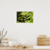 Poster Famille d'ours brun (Cuisine)