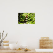 Poster Famille d'ours brun (Cuisine)