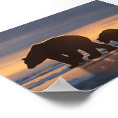 Poster Famille d'ours polaires (Coin)