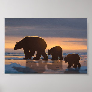 Poster Famille d'ours polaires