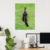 Poster Famille Duck (Bureau à domicile)