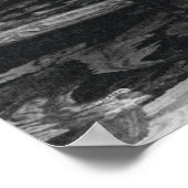 Poster Famille impériale russe, Maison de Romanov (1913) (Coin)