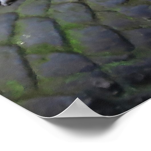 Poster Famille Macaque (Coin)