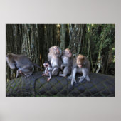 Poster Famille Macaque (Devant)