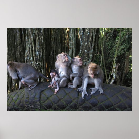 Poster Famille Macaque (Devant)