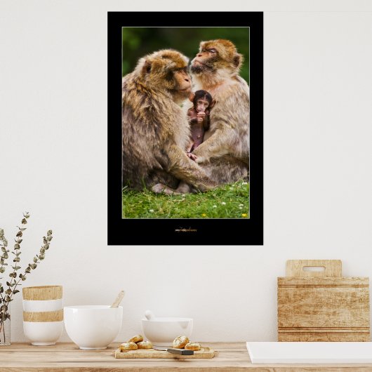 Poster Famille Monkey (Cuisine)