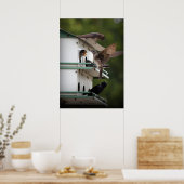 Poster Famille Purple Martin (Cuisine)