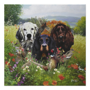 Poster Famille Setters