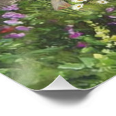 Poster Famille Setters (Coin)