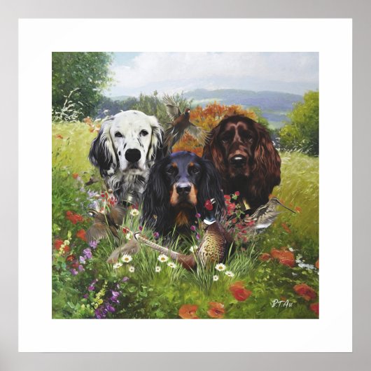 Poster Famille Setters (Devant)