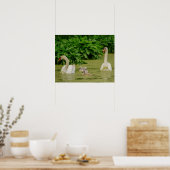 Poster Famille Swan (Cuisine)