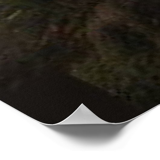 Poster Famille Tiger (Coin)