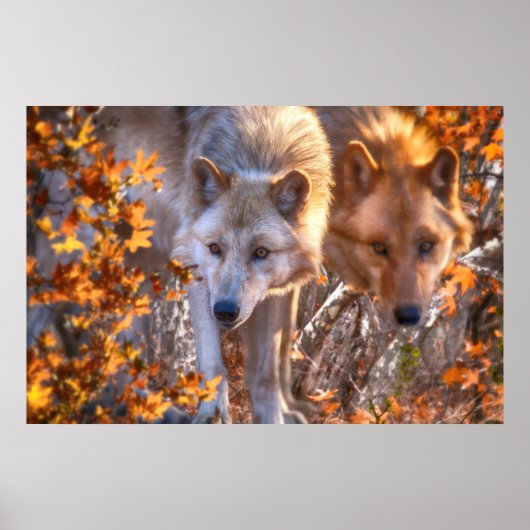 Poster FAMILLE Wolf AUTOMNE (Devant)