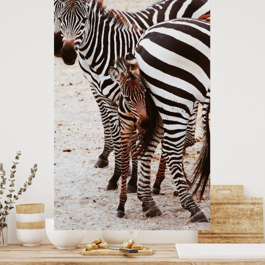 POSTER FAMILLE ZEBRA (Cuisine)