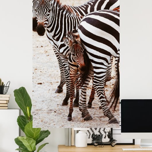 POSTER FAMILLE ZEBRA (Bureau à domicile)