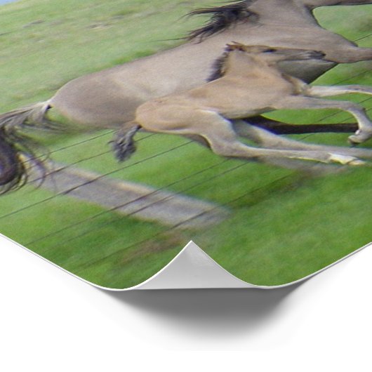 Poster FamilyRun (Coin)