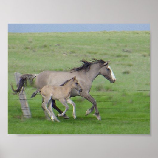 Poster FamilyRun (Devant)