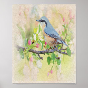 Poster Fanatique d'oiseaux
