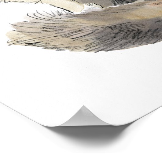 Poster Fancy Calico Cat (Coin)