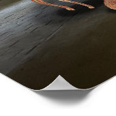 Poster Fancy Feast (Coin)