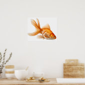 Poster Fancy Goldfish (Cuisine)