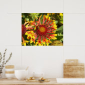 Poster Fanfare Gaillardia - Customisée (Cuisine)