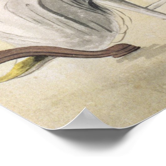 Poster Fanny Austen-Knight (Coin)