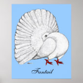 Poster Fantail : Blanc (Devant)