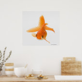 Poster Fantail (Carassius auratus) (Cuisine)