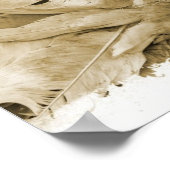 Poster Fantail Pigeon (Coin)