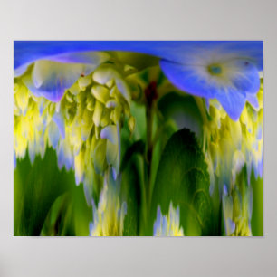 Poster Fantaisie de fleurs d'Hortensia Floral Abstrait