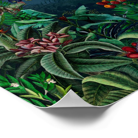 Poster Fantastique Fabulous Midnight Rainforest (Coin)