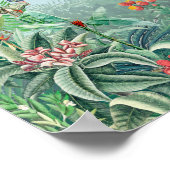Poster Fantastique Tropics Rainforest (Coin)