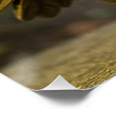 Poster Fantasy Cute Brass Owl Skates (Coin)