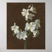 Poster Fantin-Latour - Lys blancs (Devant)