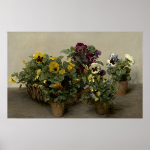 Poster Fantin-Latour - Pansies