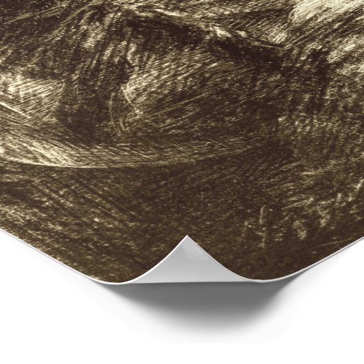 Poster Fantin-Latour - Rinaldo (Coin)