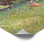 Poster Faon de cerf dans la nature au Texas (Coin)