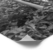 Poster Farm Girls, 1939. Photo vintage (Coin)