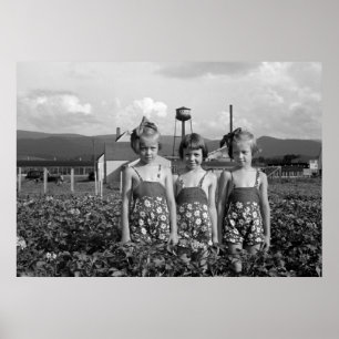 Poster Farmer's Daughters, 1939