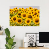 Poster Farms | A Sunflower (Bureau à domicile)