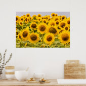 Poster Farms | A Sunflower (Cuisine)