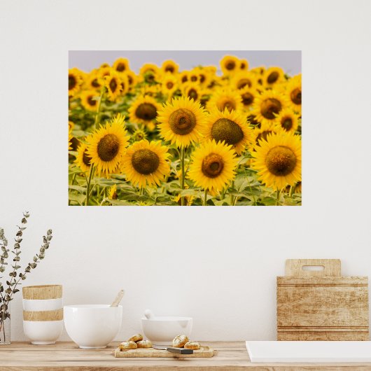 Poster Farms | A Sunflower (Cuisine)