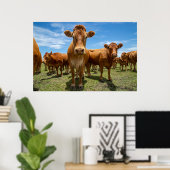 Poster Farms | Brown cow (Bureau à domicile)